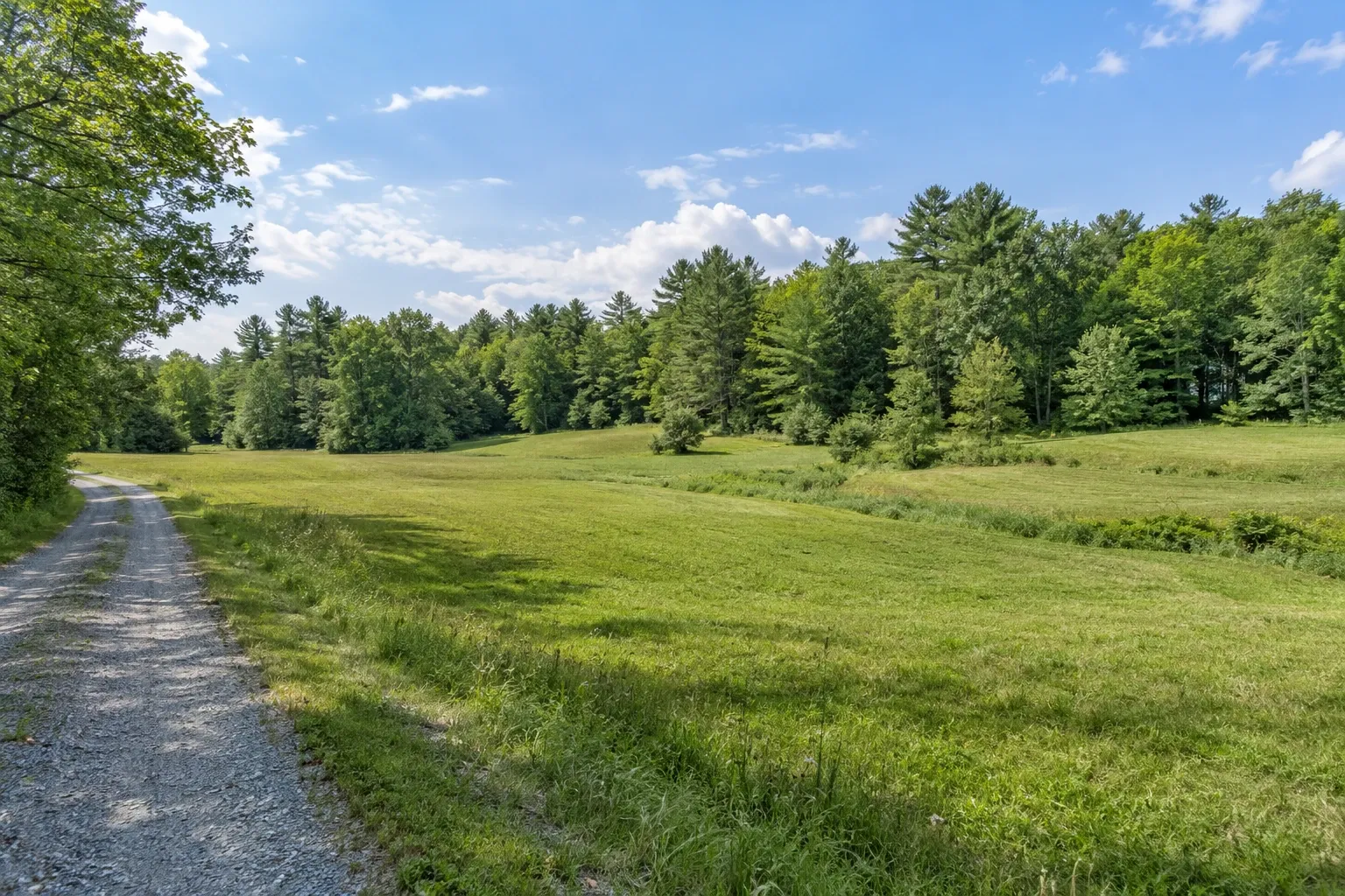 Open green field beside a gravel lane and a mixed tree line