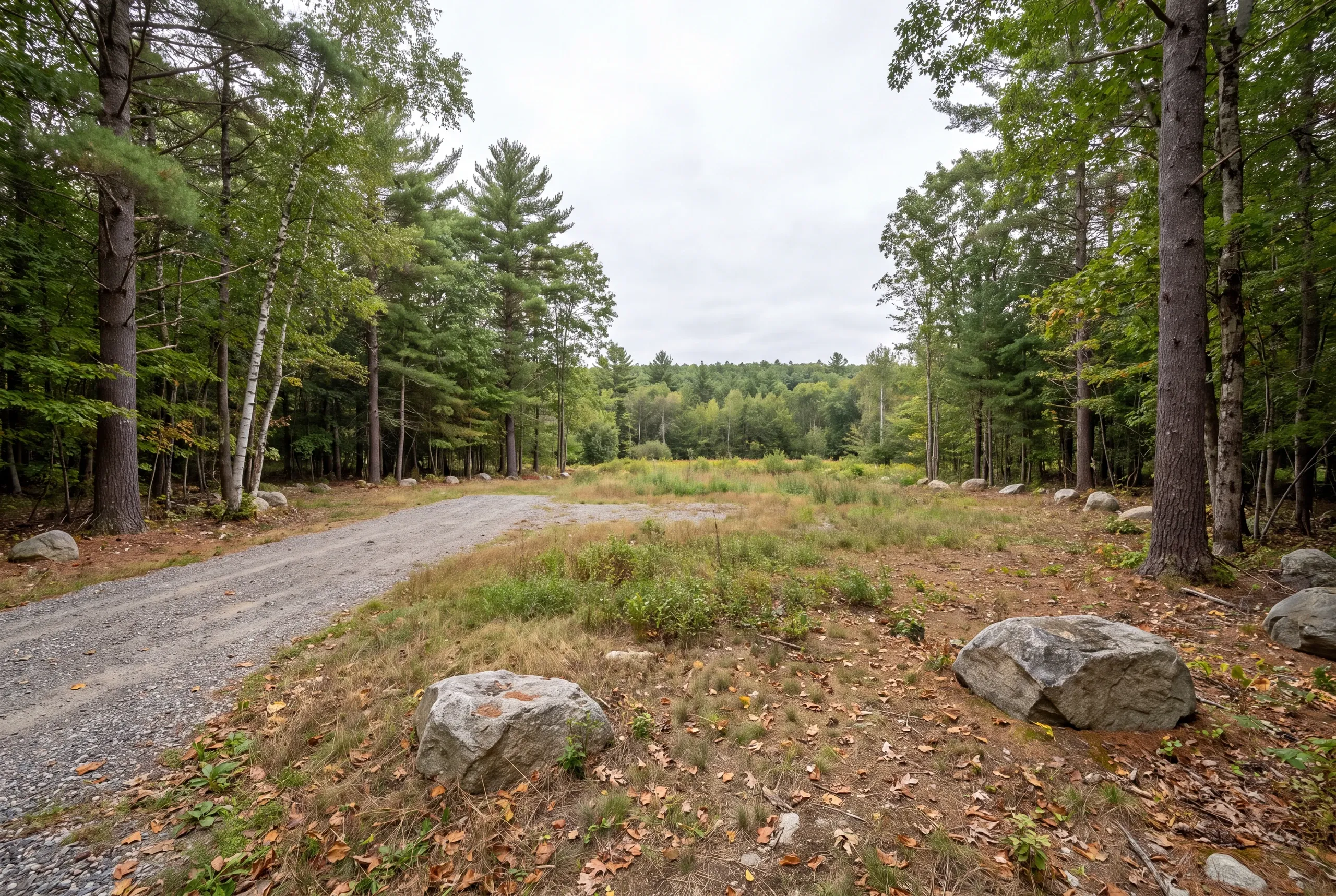 A level residential building lot features a clear central grass area bordered by mature pine and birch trees with a modest gravel approach.