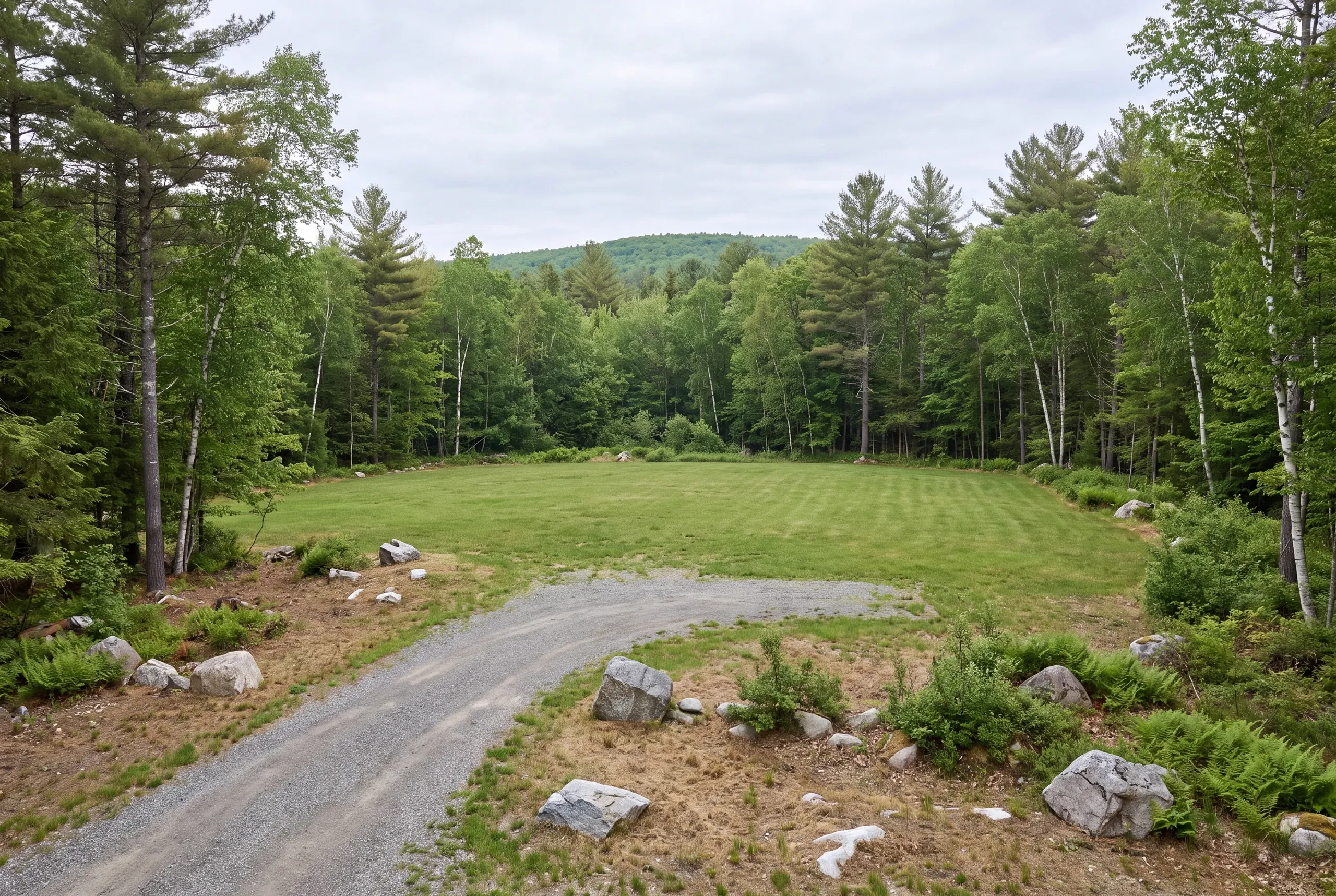 A level grassy clearing bordered by mixed pine and birch trees is approached by a modest gravel driveway under an overcast sky.