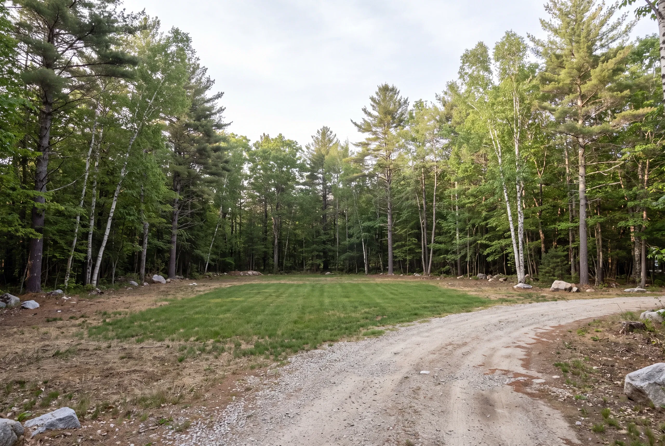 A level clearing features a central rectangular patch of mowed grass surrounded by mature pine and birch trees with a gravel driveway curving in the foreground.