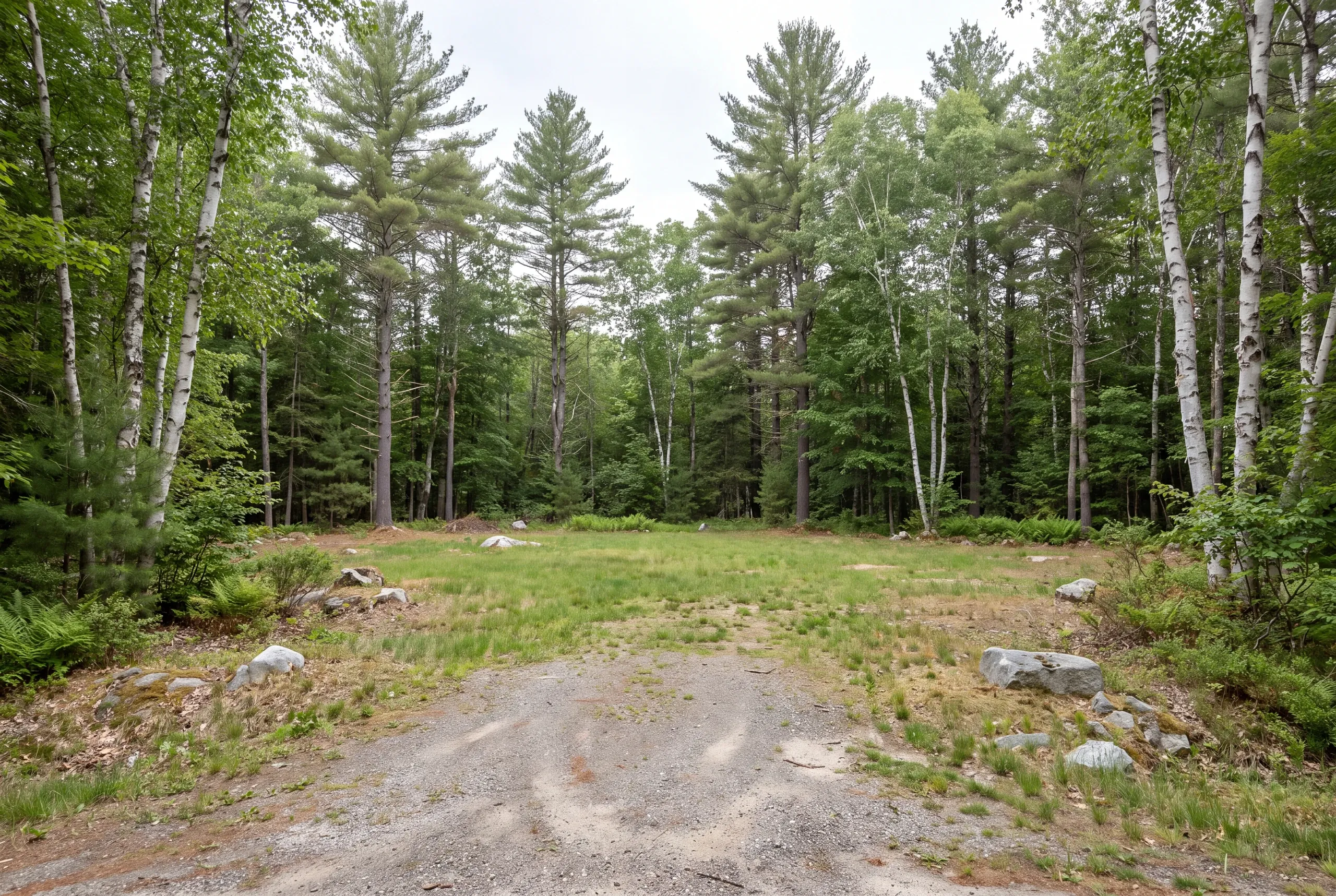 A gravel approach leads to a grassy clearing surrounded by a boundary of mixed pine and birch trees.