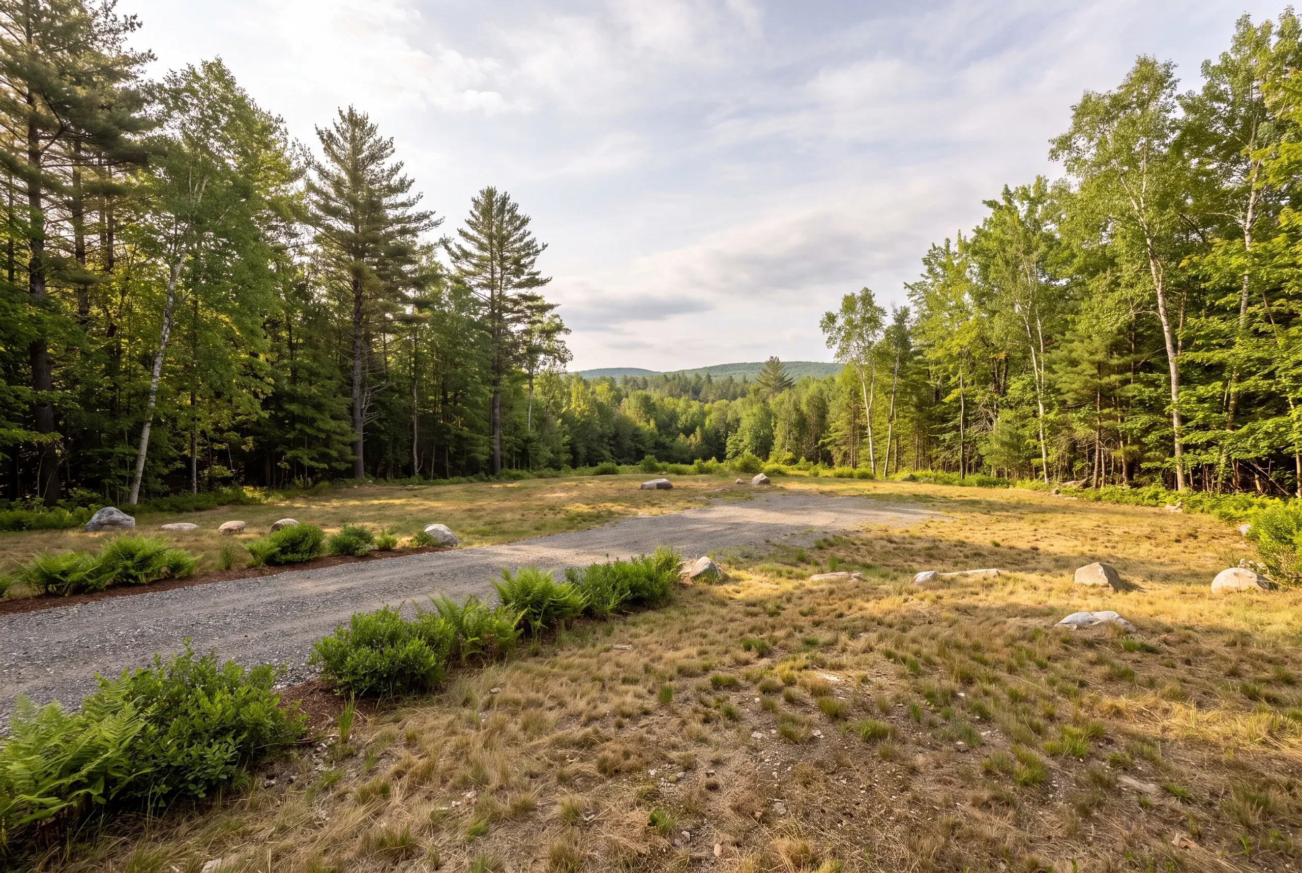 A gravel driveway leads into an open grassy clearing surrounded by a dense forest of mixed pine and birch trees under a partly cloudy sky.