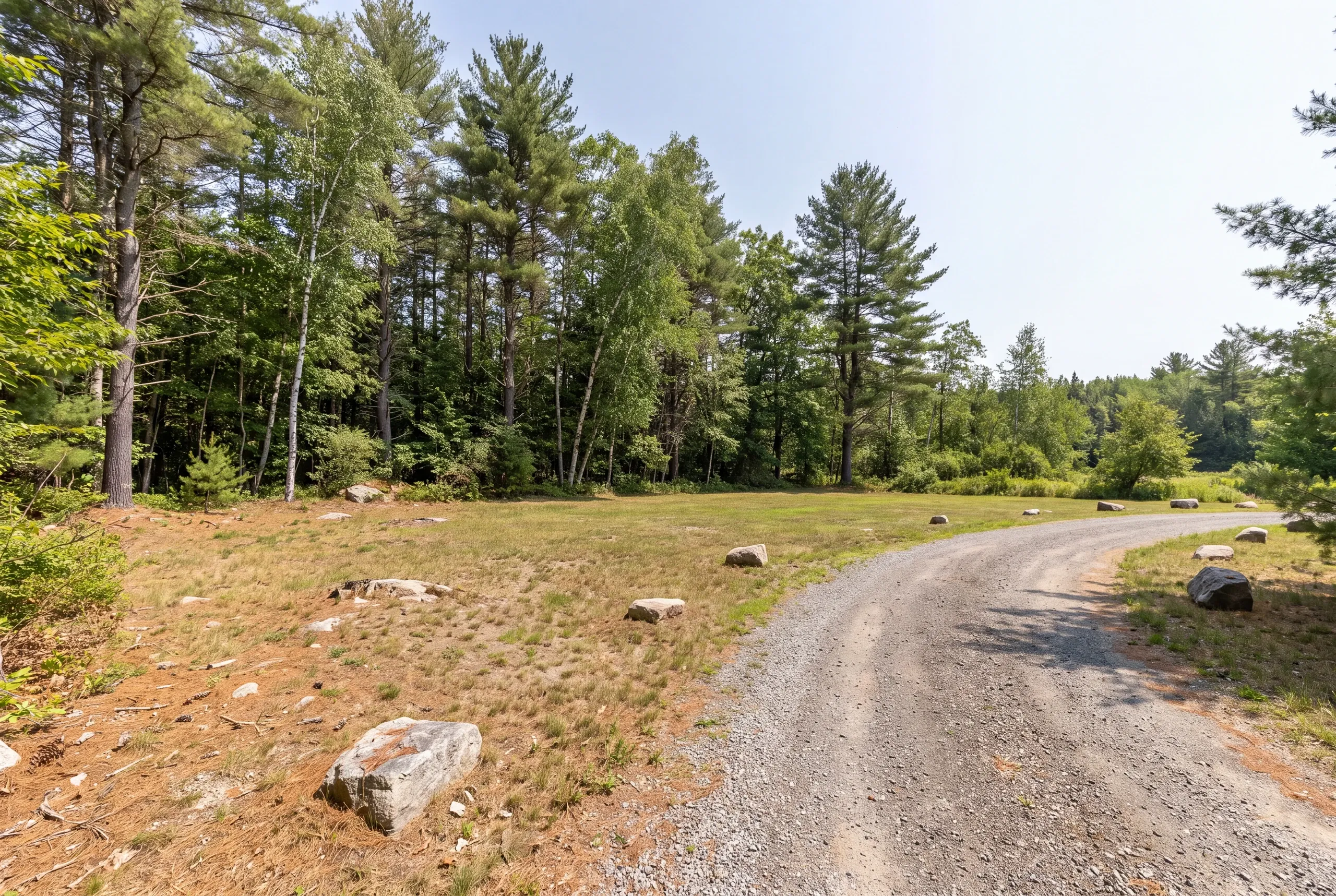 A gravel driveway curves past a grassy clearing bordered by mature pine and birch trees under a clear sky.