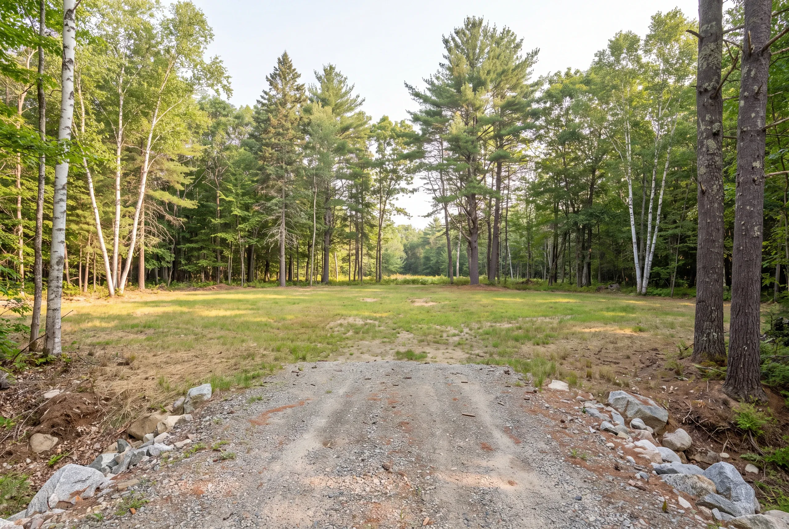 A gravel approach leads to a cleared, grassy lot surrounded by a dense forest of mixed pine and birch trees.